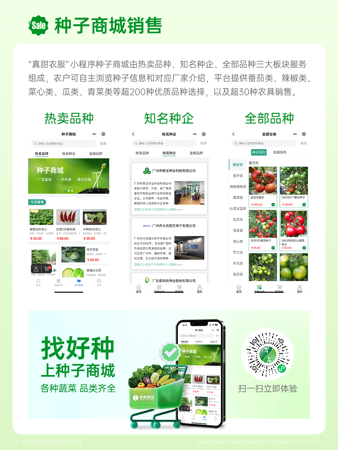 真甜業務介紹8-種子商城銷售.jpg 真甜業務介紹8-種子商城銷售.jpg