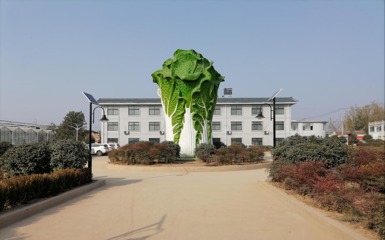 山東菏澤有機地標高效農(nóng)業(yè)科技示范園