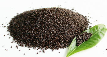 生物有機(jī)肥料加工如何能降低成本提高肥效