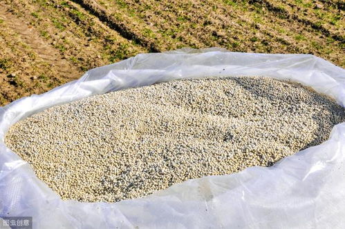 警惕 國(guó)家根本不承認(rèn)這種肥料,可有人卻在大肆宣傳 到底什么情況