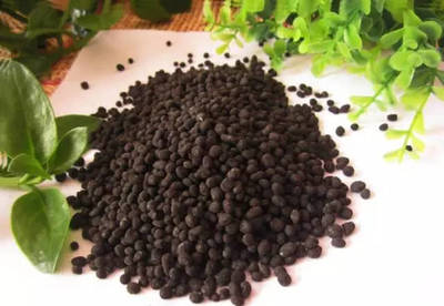 什么是微生物肥料,看完這個你就知道