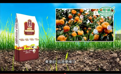 養元多肥料創造營,新品c位出道