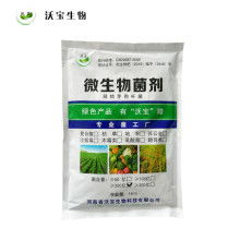 2021年微生物肥料市場(chǎng)行情深度解析 價(jià)格、報(bào)價(jià)與批發(fā)渠道探秘